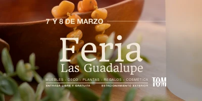 ¡Feria Las Guadalupe!
